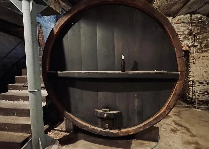 Ehemaliges Wein Chateau Appartement Winningen